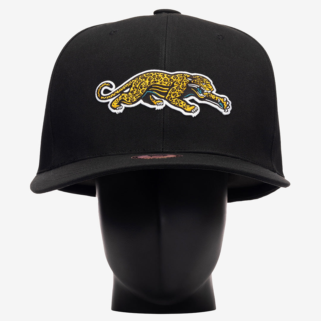 Jacksonville Jaguars Throwback Noggin – Noggin Boss