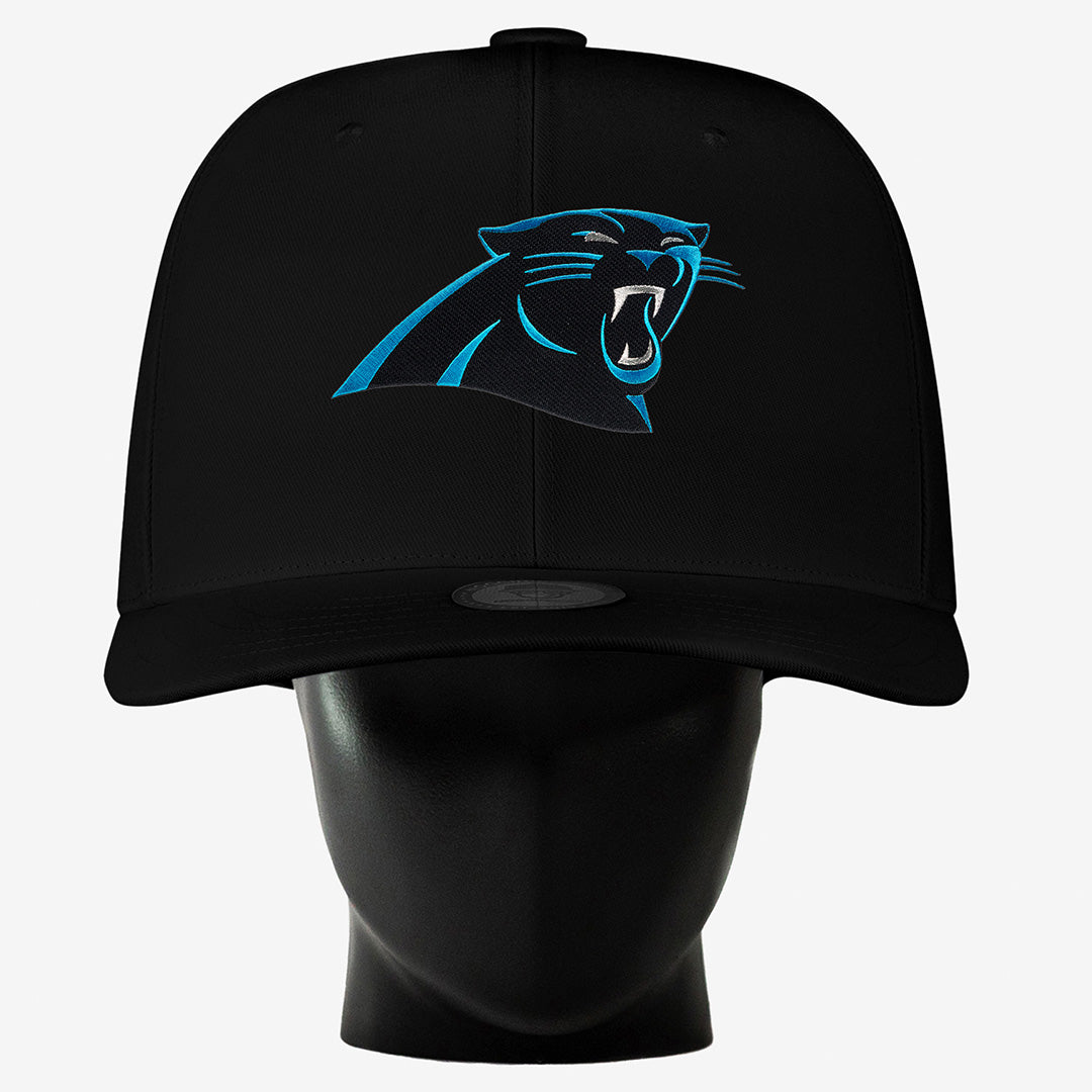 Carolina Panthers Noggin – Noggin Boss