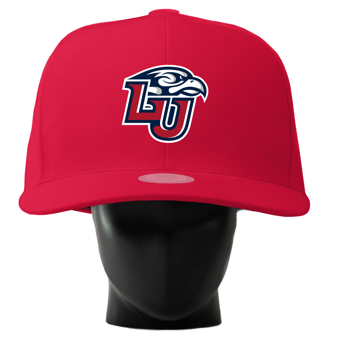 Liberty Flames Noggin