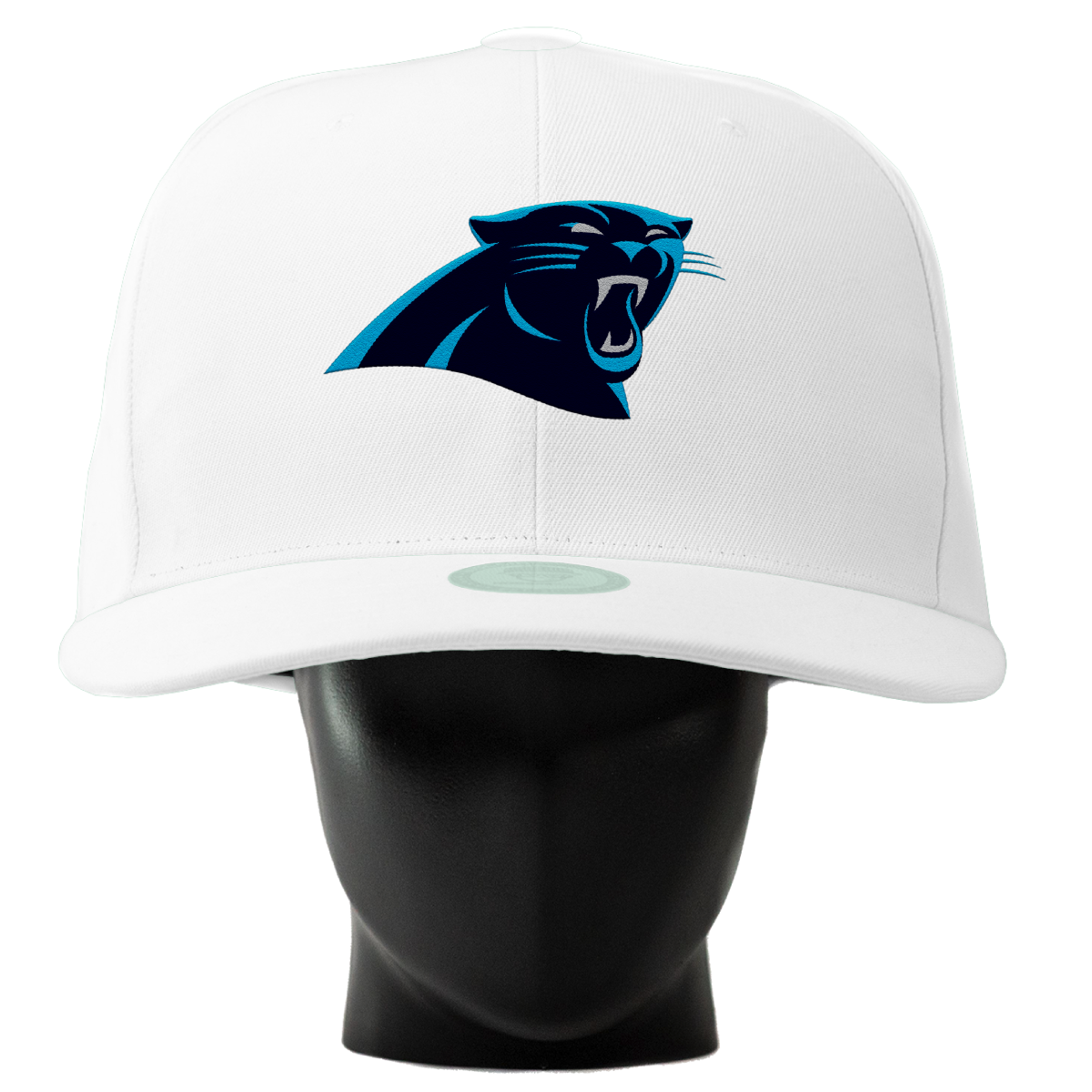 Carolina Panthers Noggin
