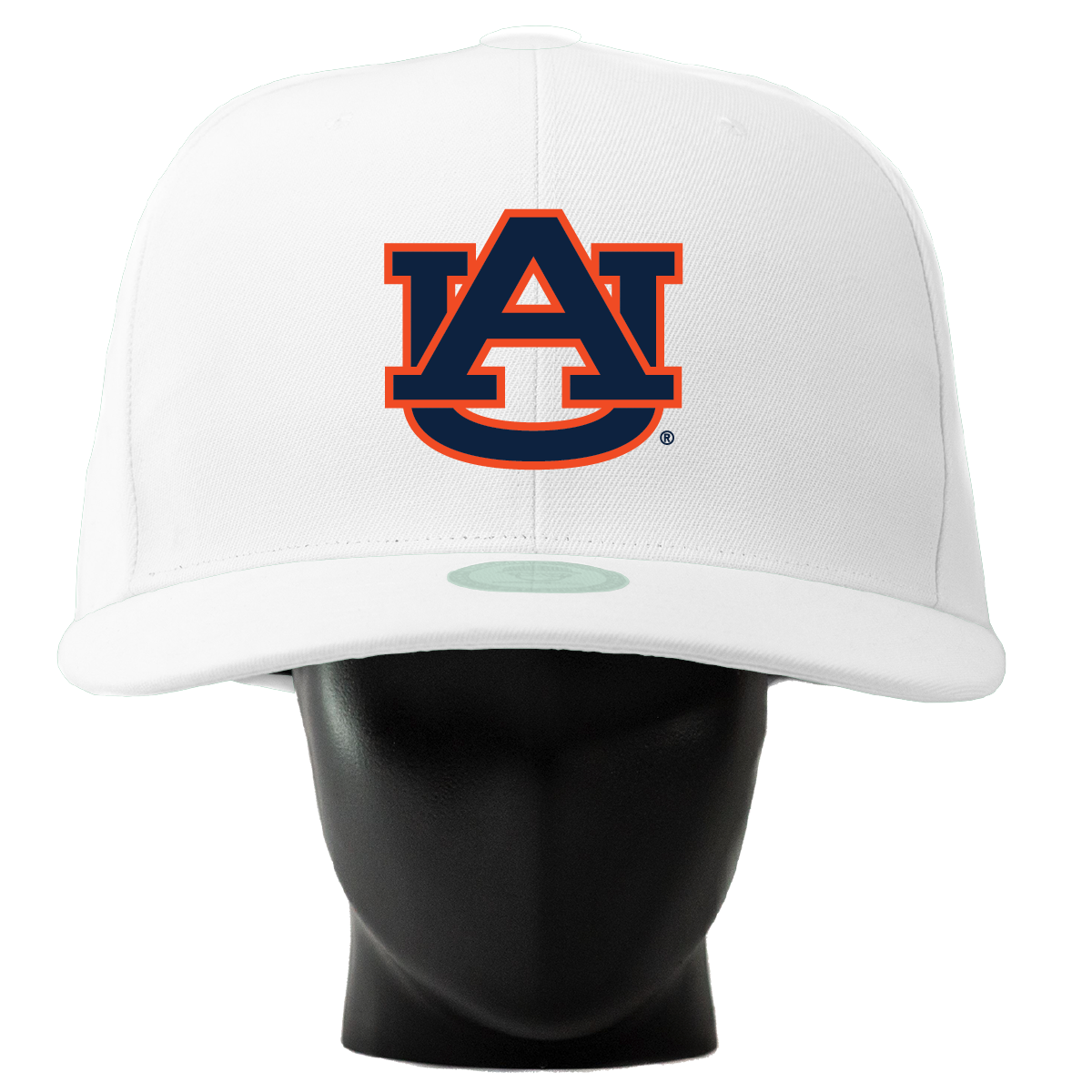 Auburn Tigers Noggin