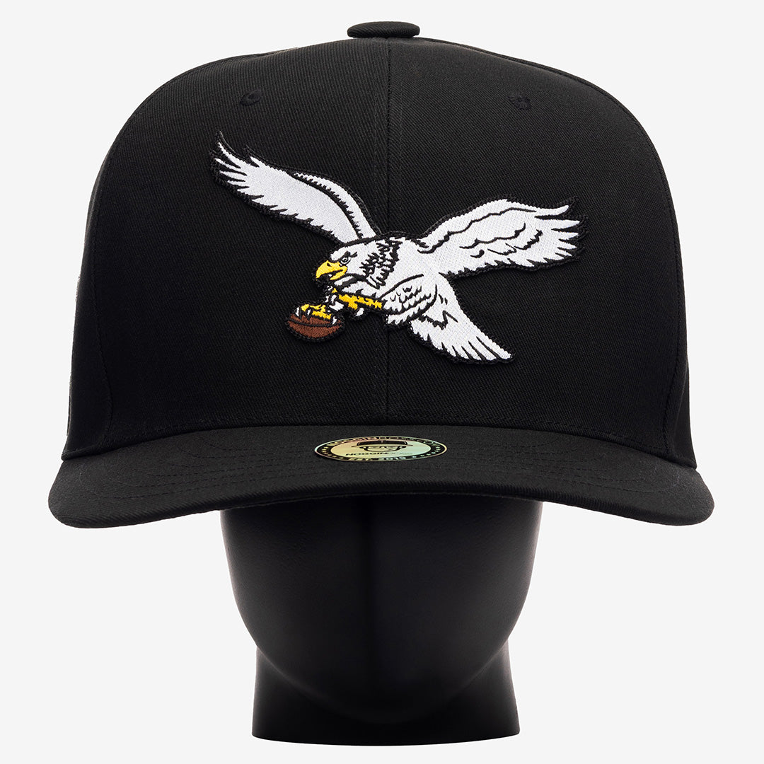 Philadelphia Eagles Throwback Noggin