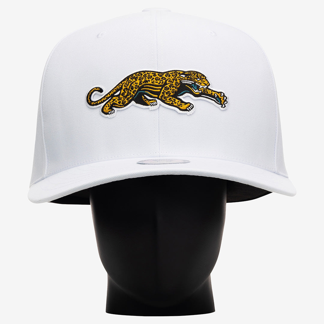 Jacksonville Jaguars Throwback Noggin – Noggin Boss