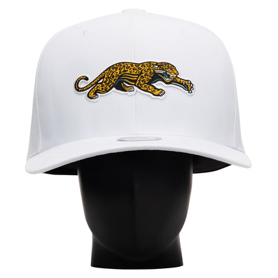 Jacksonville Jaguars Throwback Noggin