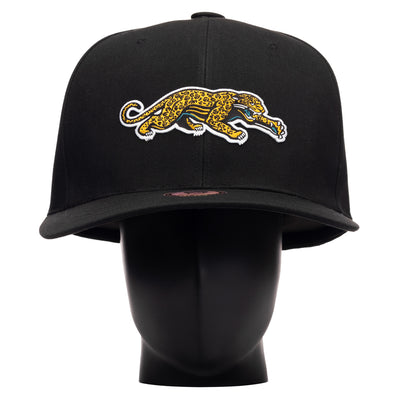 Jacksonville Jaguars Throwback Noggin