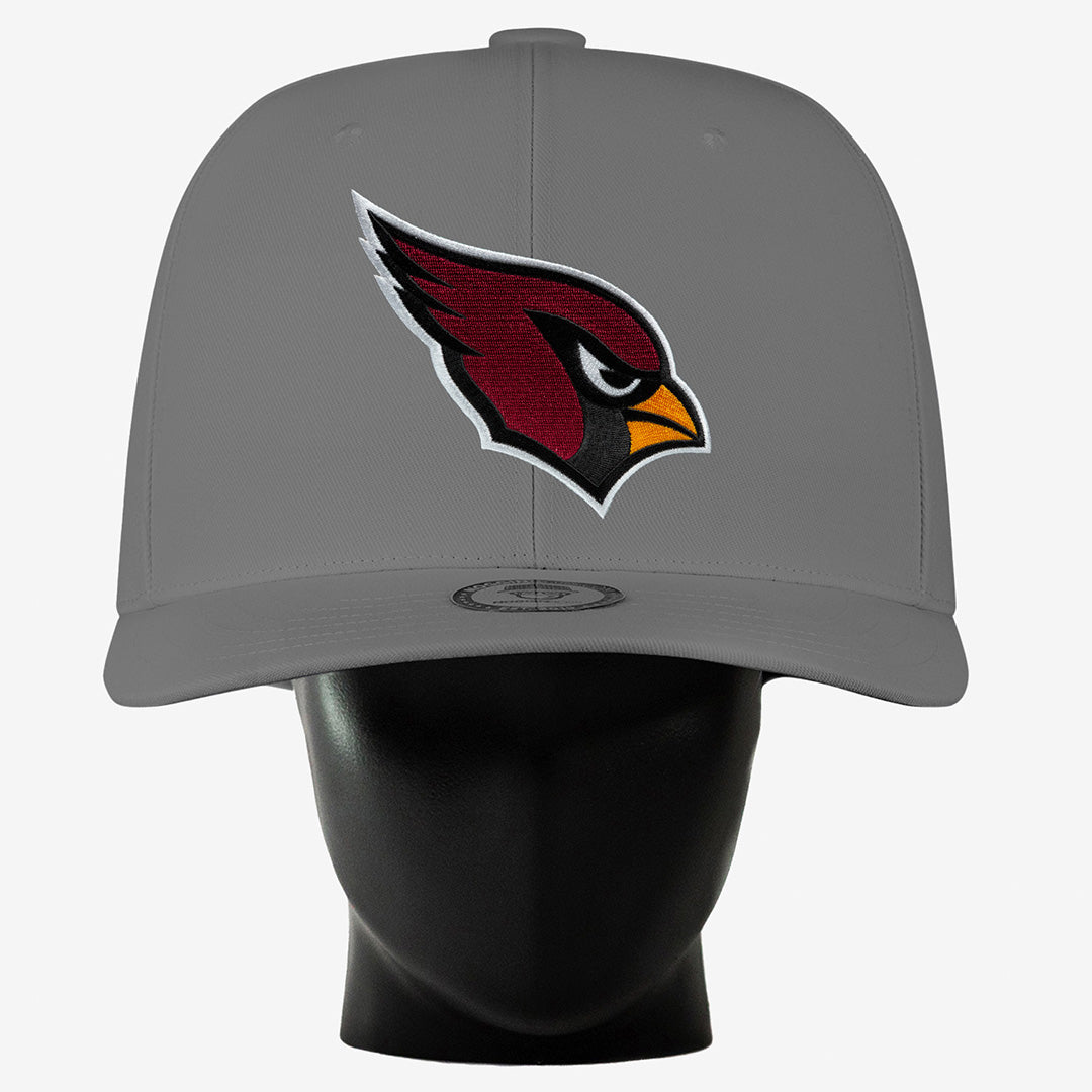 Arizona Cardinals Noggin