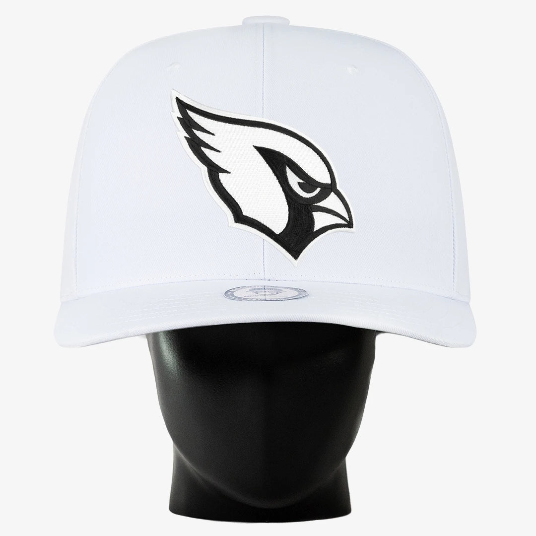 Arizona Cardinals "Blank Canvas" Noggin