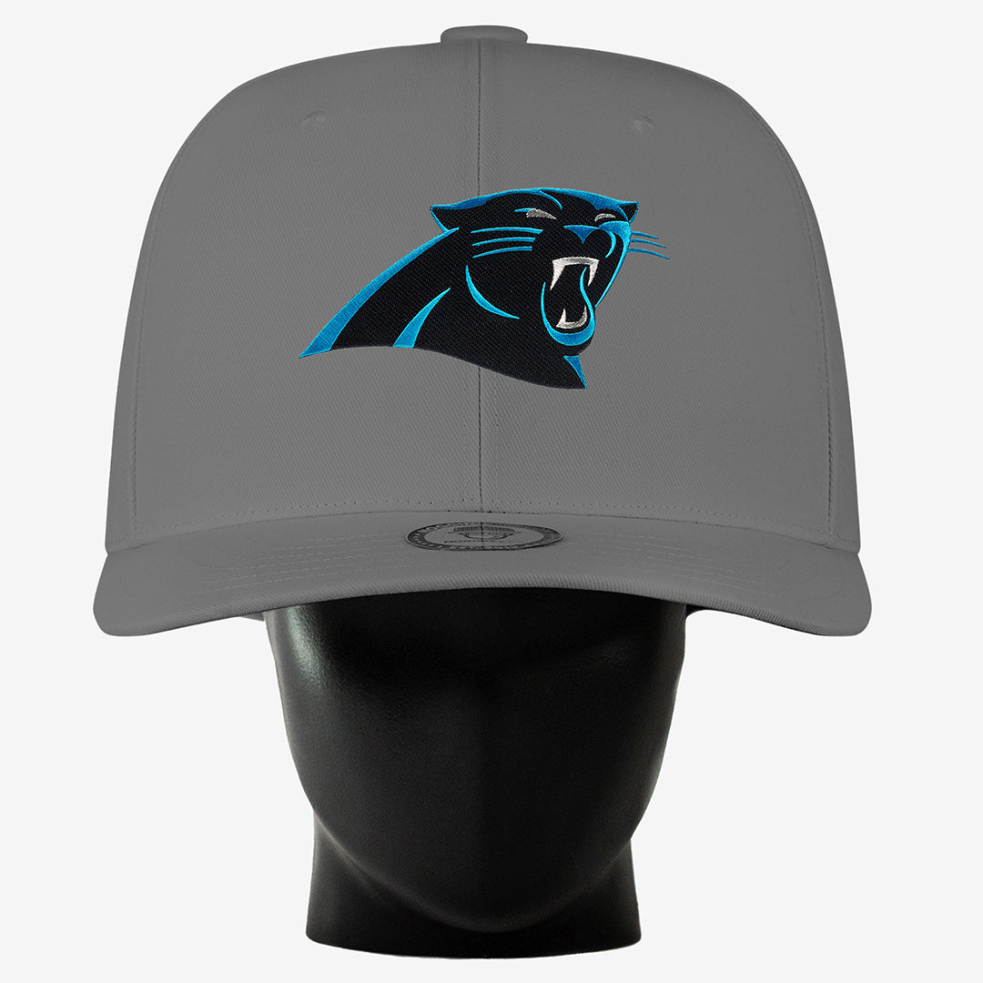 Carolina Panthers Noggin – Noggin Boss