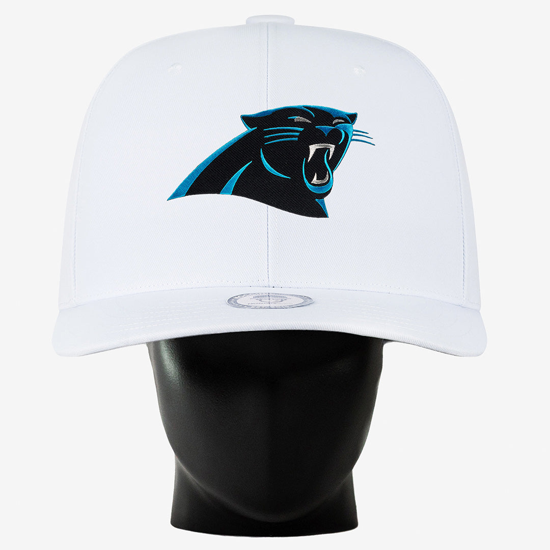 Carolina Panthers Noggin