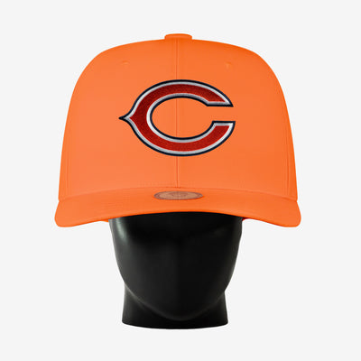 Chicago Bears Noggin