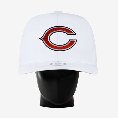 Chicago Bears Noggin