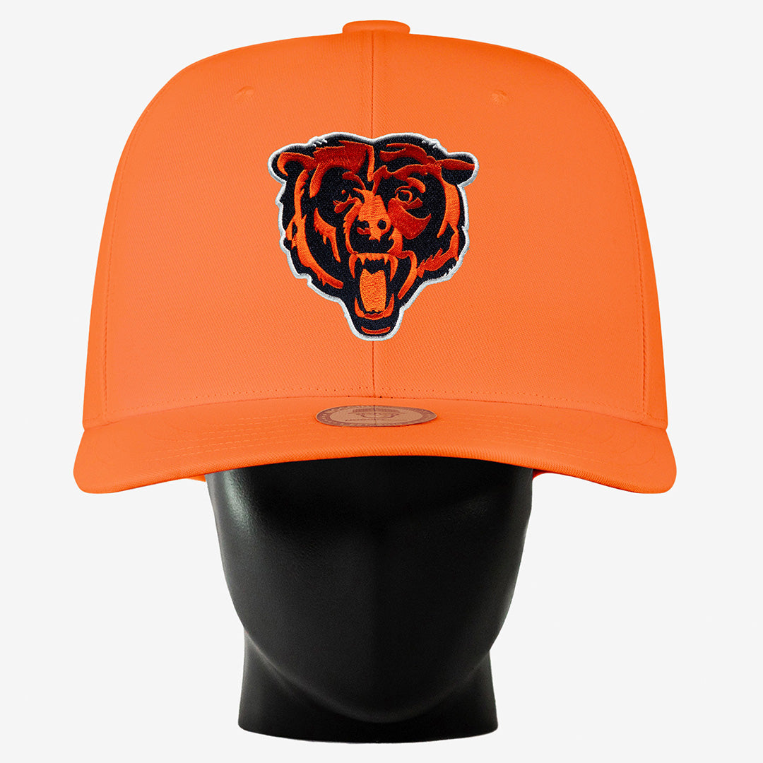 Chicago Bears "Bear" Noggin