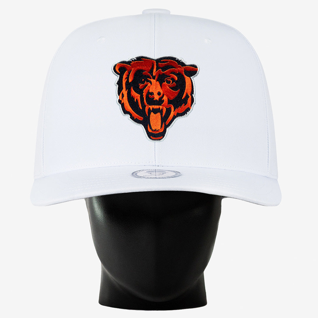 Chicago Bears "Bear" Noggin