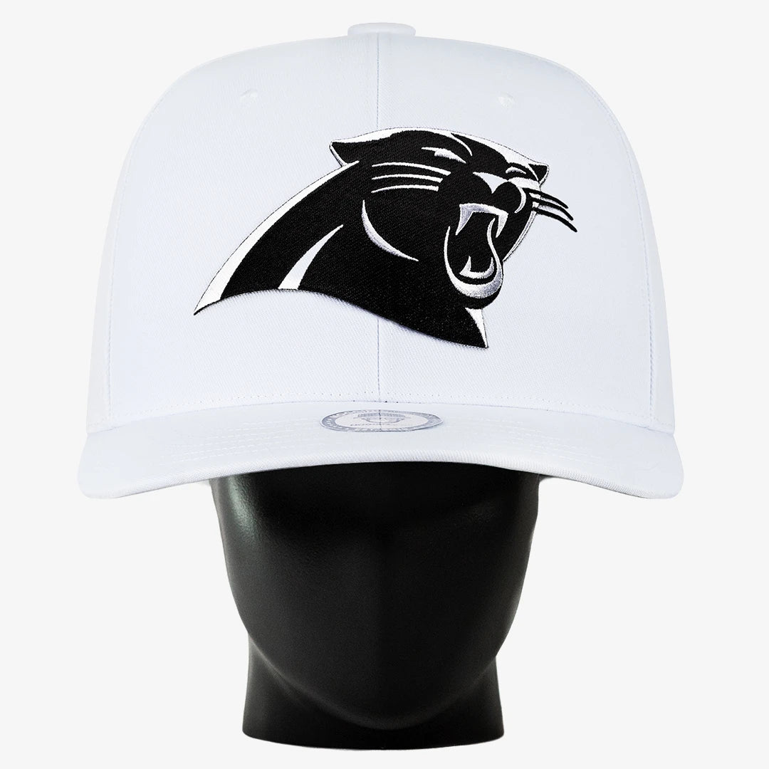 Carolina Panthers "Blank Canvas" Noggin