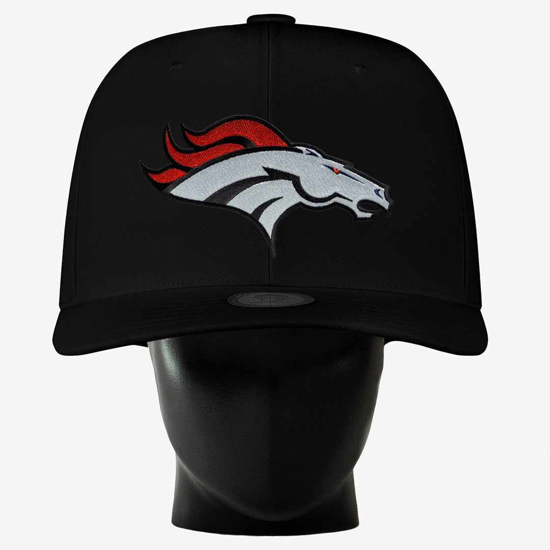 Denver Broncos Noggin