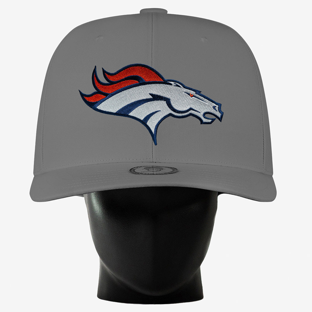 Denver Broncos Noggin