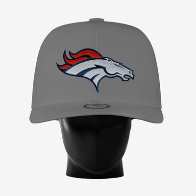 Denver Broncos Noggin