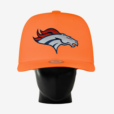 Denver Broncos Noggin