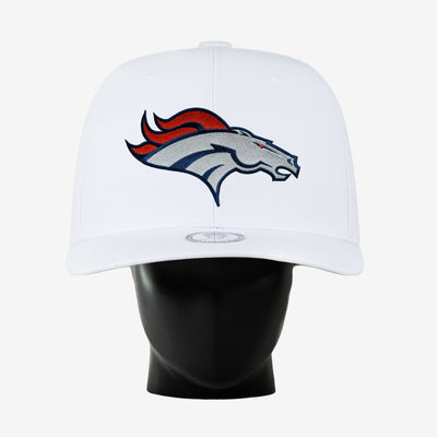 Denver Broncos Noggin