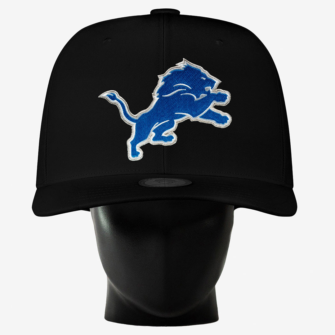 Detroit Lions Noggin