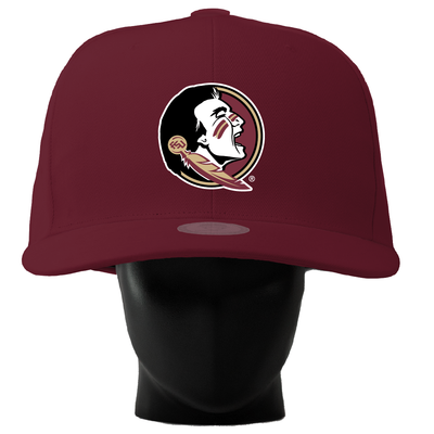 FSU Seminoles Noggin