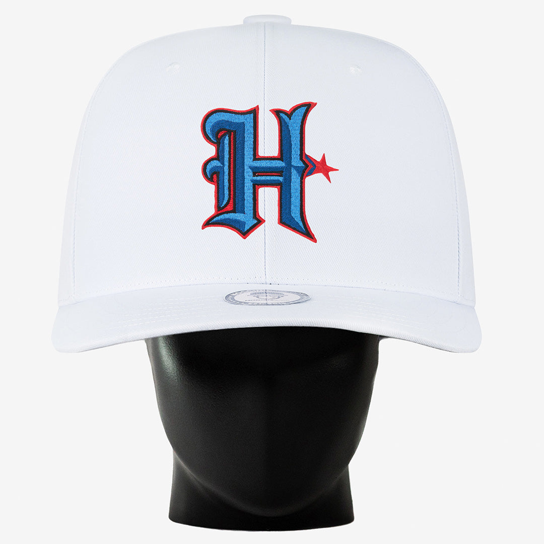 Houston Texans "H" Noggin
