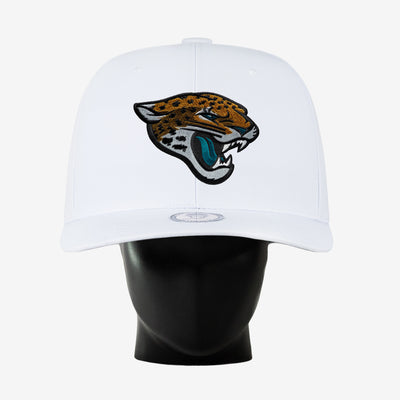 Jacksonville Jaguars Noggin
