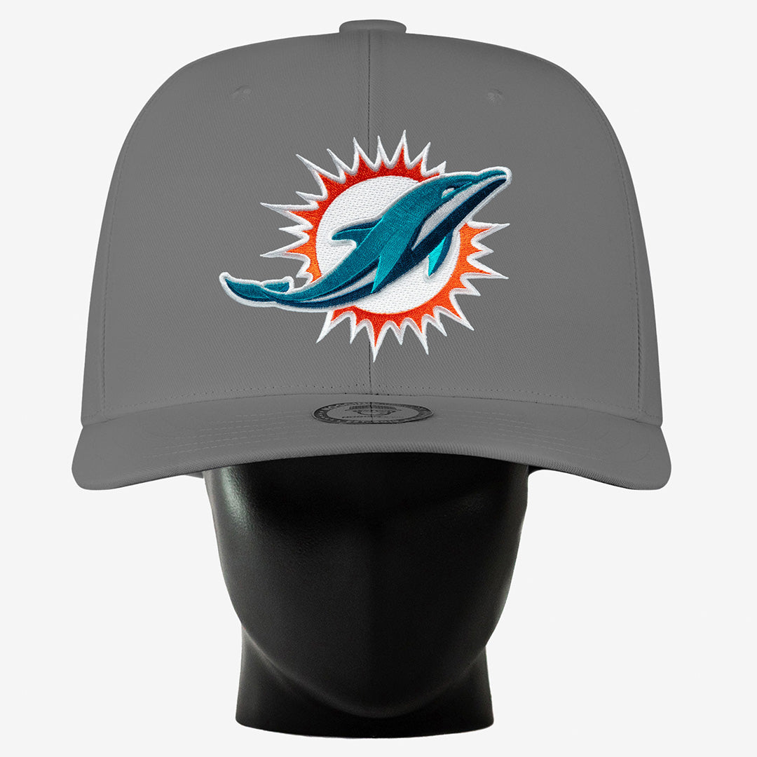 Miami Dolphins Noggin