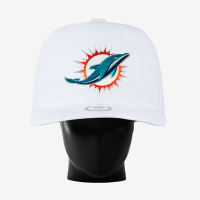 Miami Dolphins Noggin
