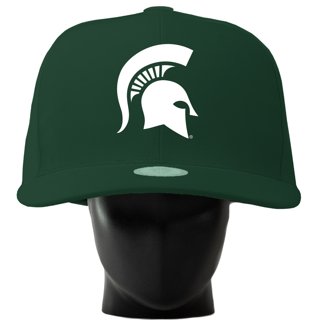 Michigan State Spartans Noggin