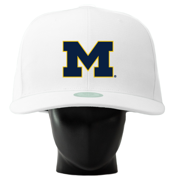 Michigan Wolverines Noggin