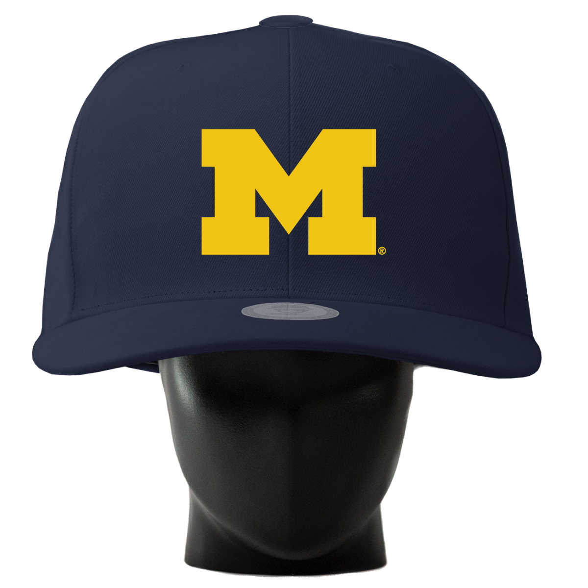 Michigan Wolverines Noggin