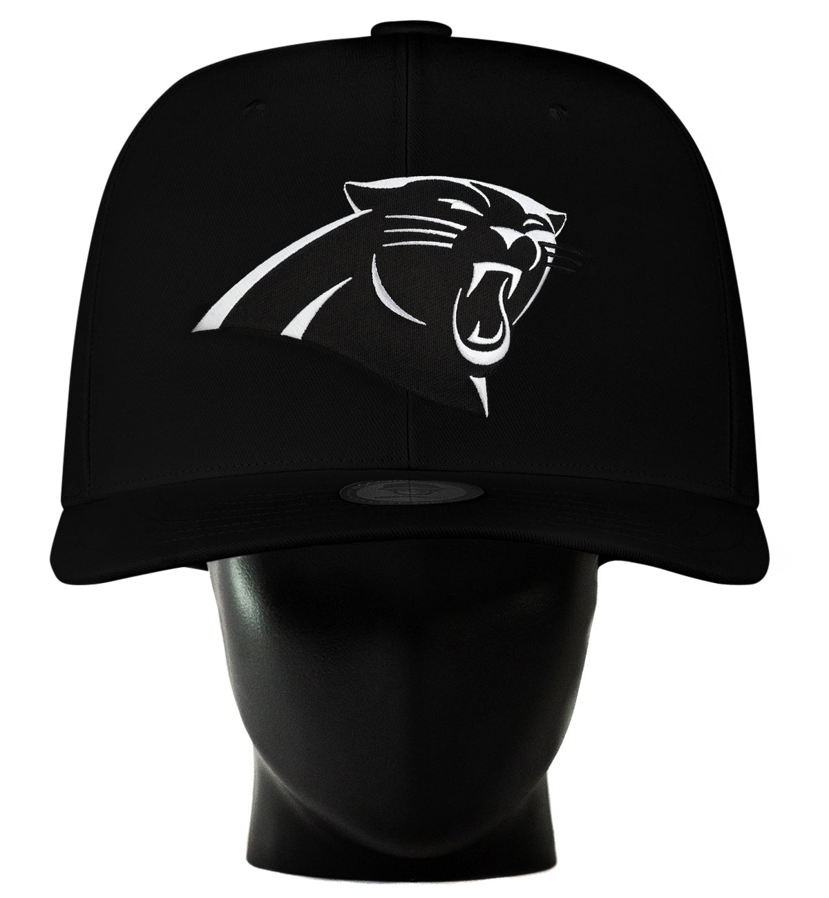 Carolina Panthers Blackout Noggin