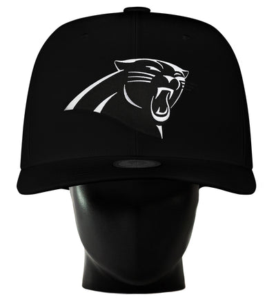 Carolina Panthers Blackout Noggin