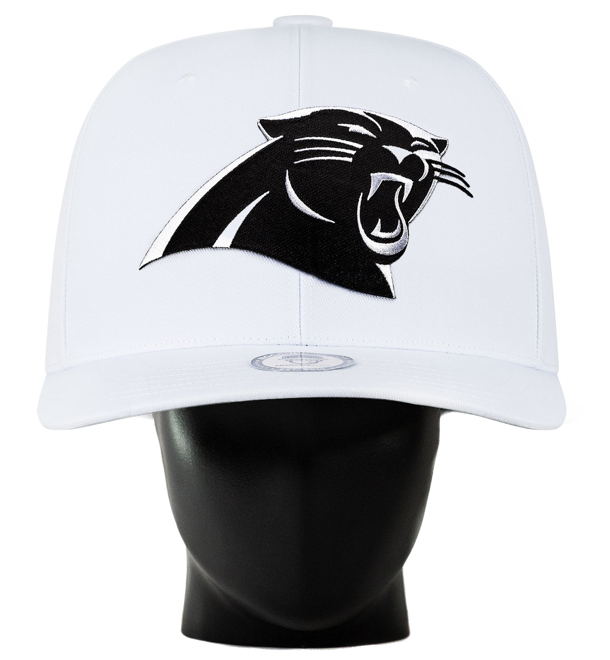 Carolina Panthers "Blank Canvas" Noggin