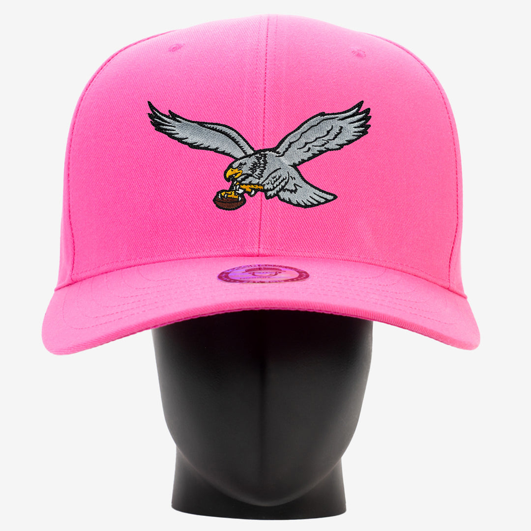 Philadelphia Eagles Throwback NogginBoss