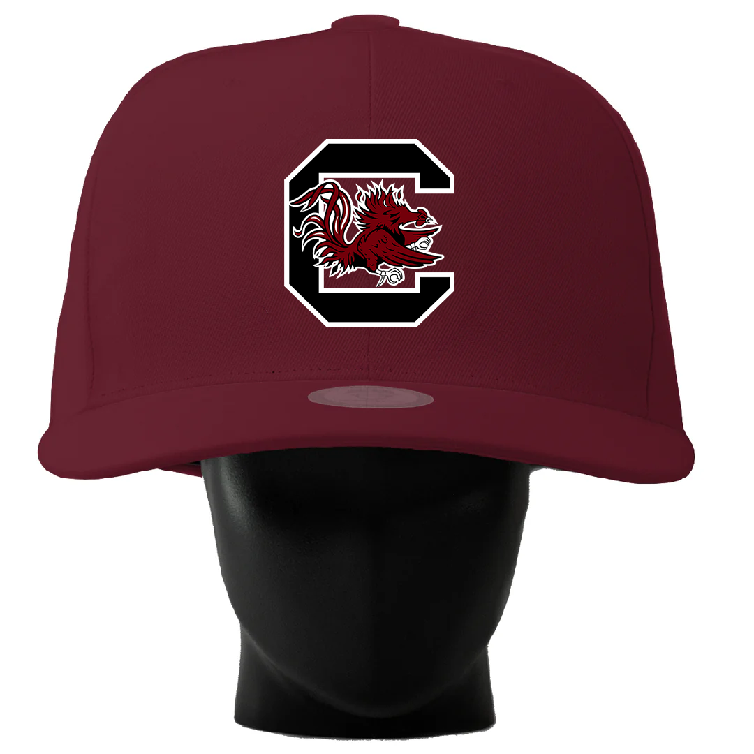 South Carolina Gamecocks Noggin