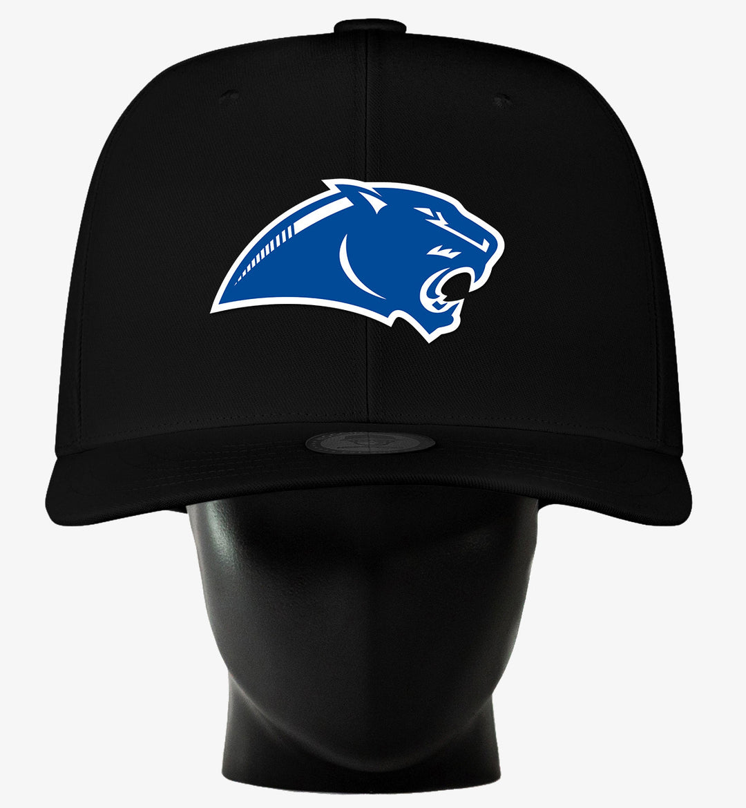 Springboro Panther NogginBoss