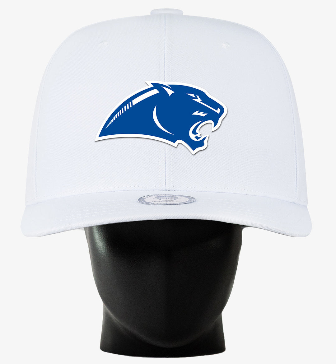 Springboro Panther NogginBoss