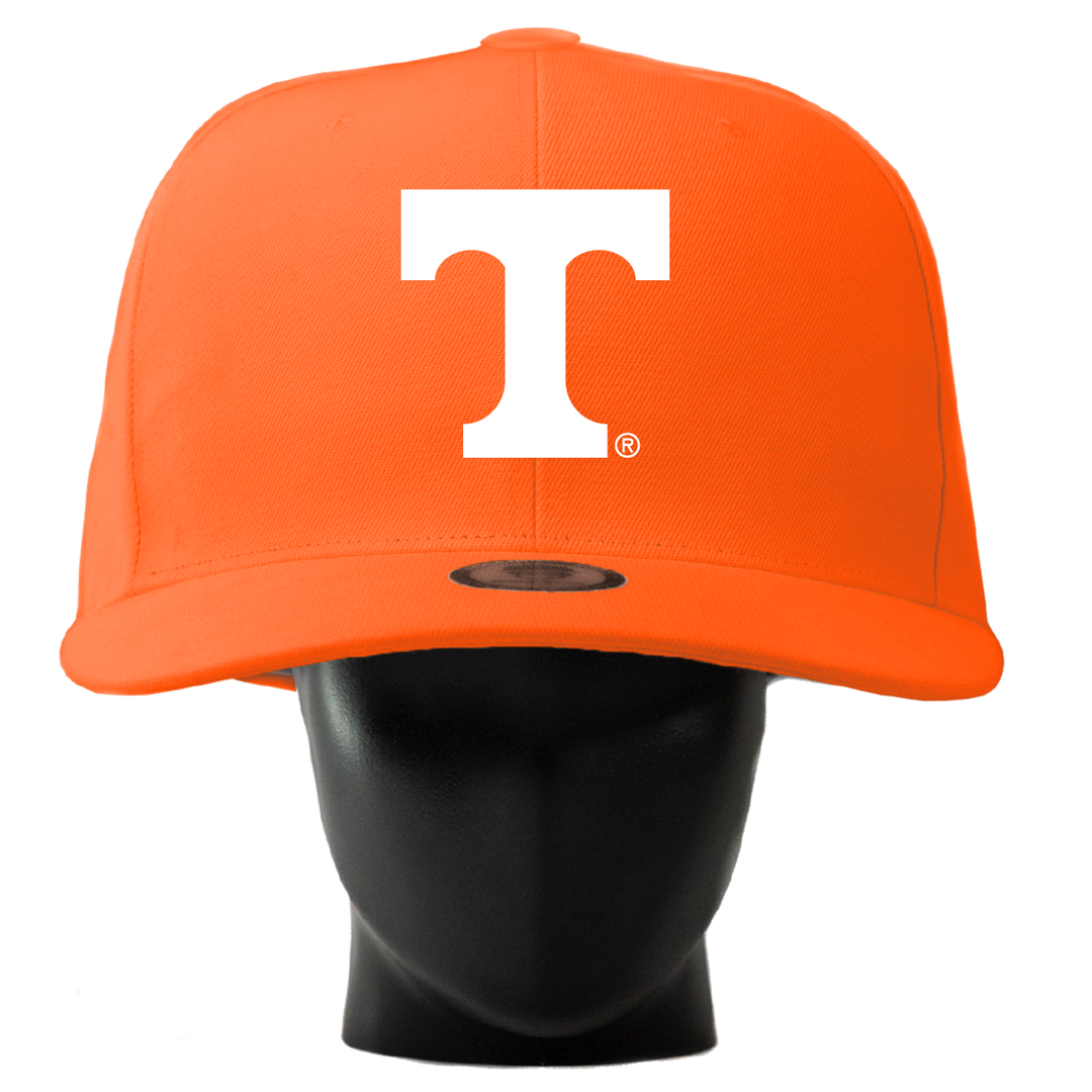 Tennessee Vols Noggin