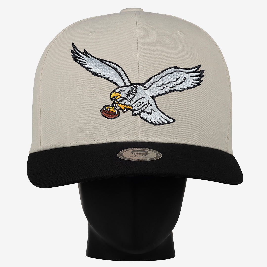 Philadelphia Eagles Throwback "Two Tone" Noggin
