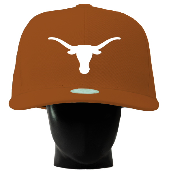 Texas Longhorns Noggin