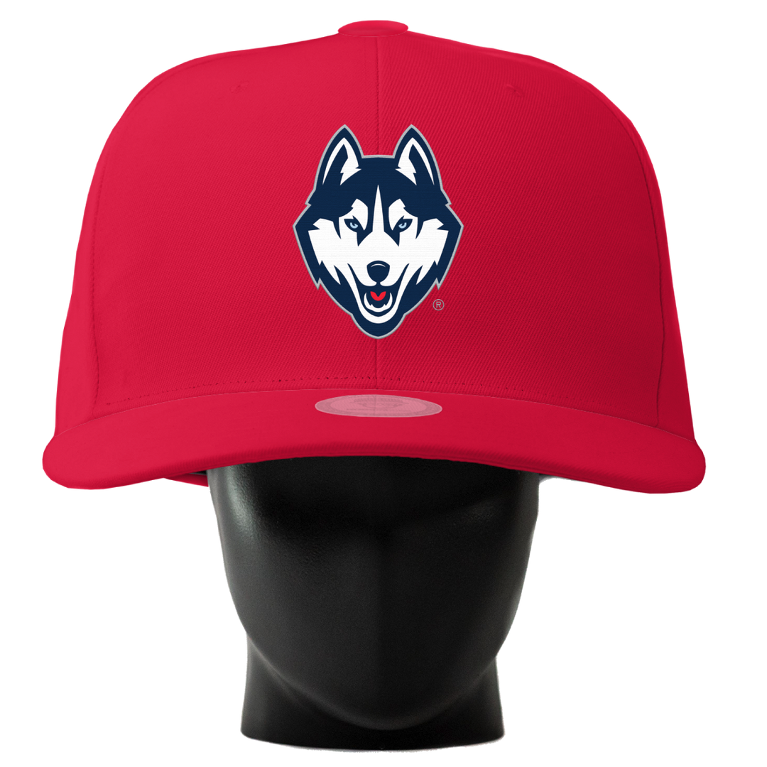 UConn Huskies Noggin