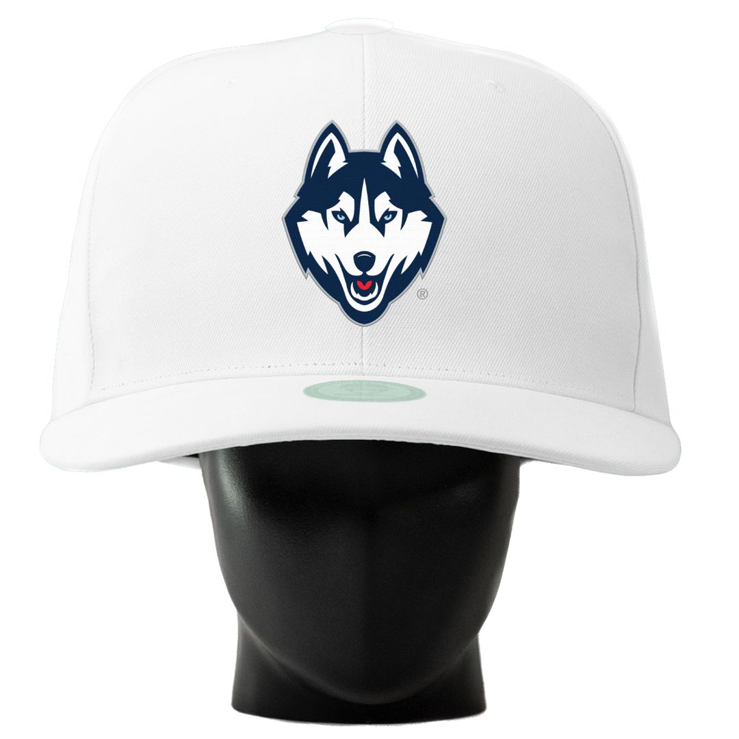 UConn Huskies Noggin