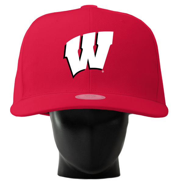 Wisconsin Badgers Noggin – Noggin Boss