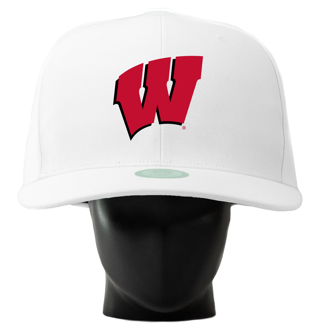 Wisconsin Badgers Noggin