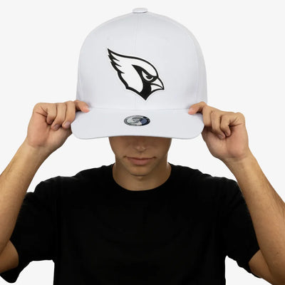 Arizona Cardinals "Blank Canvas" Noggin