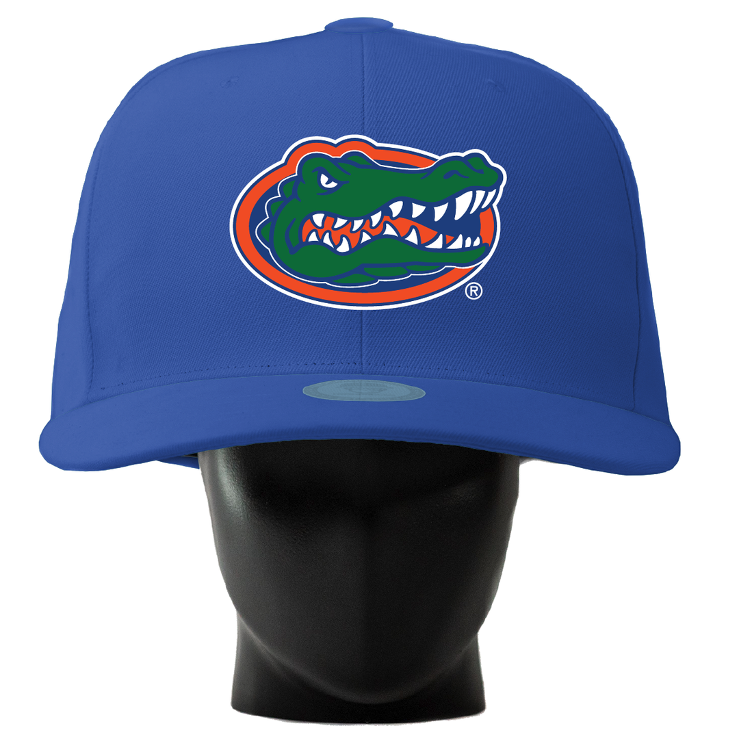 Florida Gators Noggin