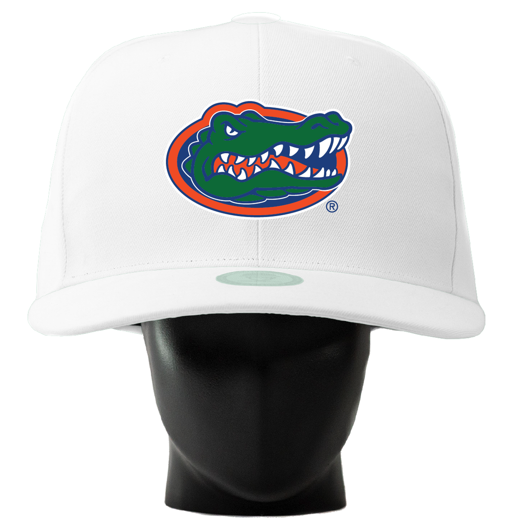 Florida Gators Noggin