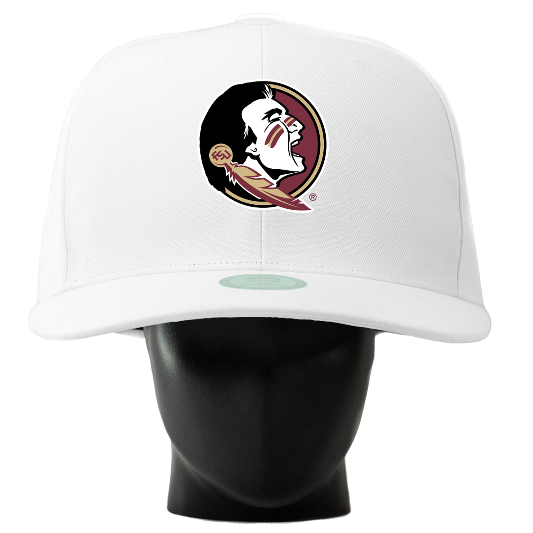 FSU Seminoles Noggin
